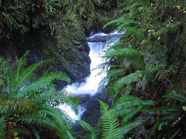 Una pequena cascada