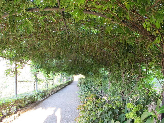 Plantas in Giardino Bardini
