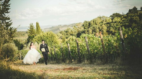 Fattoria di Quercia al Poggio, viñedo