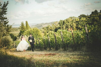 Fattoria di Quercia al Poggio, viñedo
