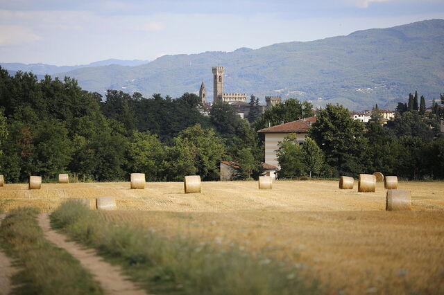 Vistas alrededor de Villa Agata