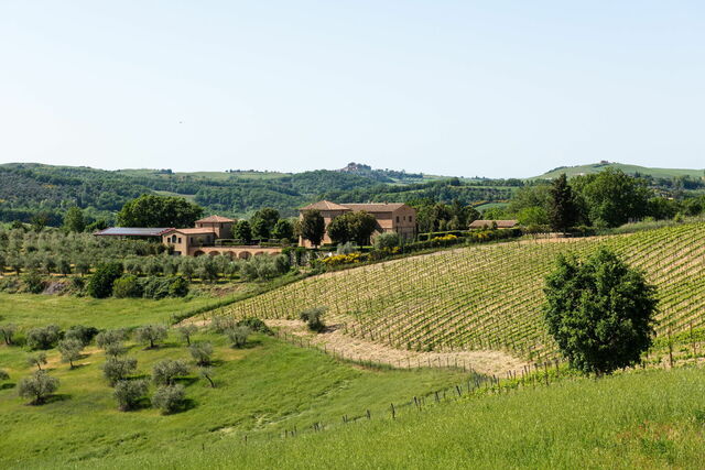 Alrededores de Podere D'Asso