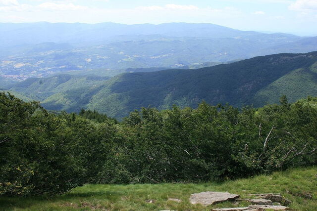 Campiña alrededor de Arezzo