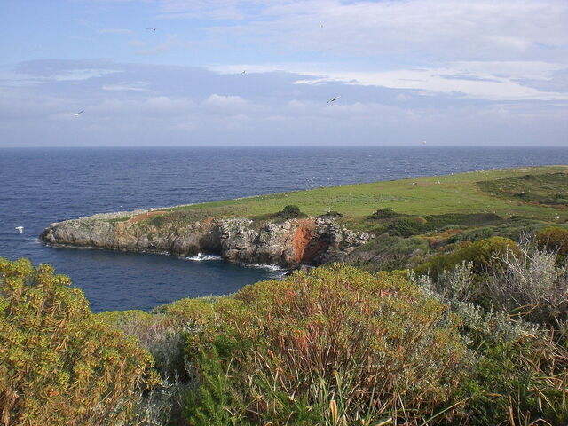Isla Giannutri