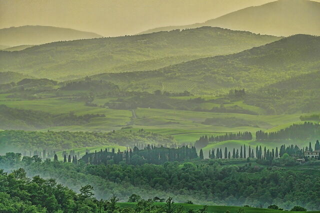 Bosques toscanos
