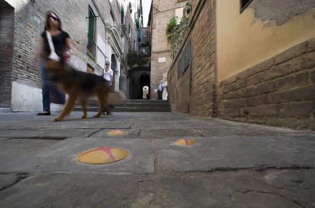 Tempo Zulu lugar de arte