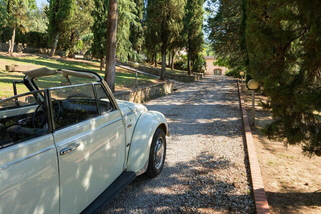 Villa Carniani, entrada