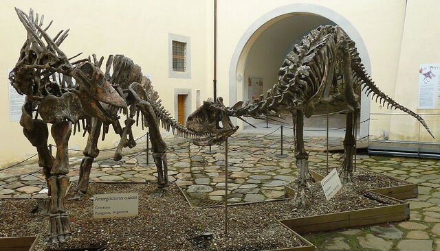 Museo de Historia Natural, dinosaurios