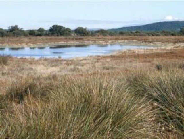 Palude della Trappola Bocca d’Ombrone