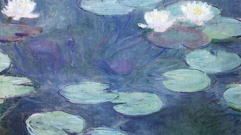 Nenúfares, Monet