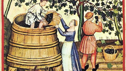 Vendimia medieval