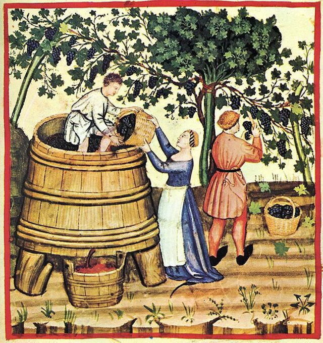 Vendimia medieval