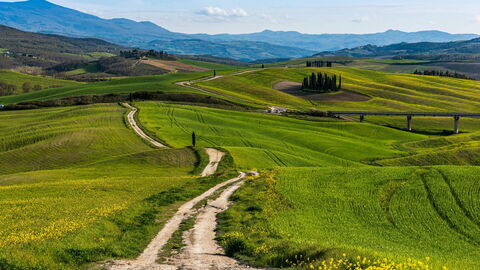 Una carretera en Toscana