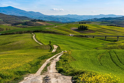 Una carretera en Toscana