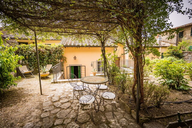 Glicina Cortona, jardín
