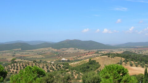 Las Vistas sobre Capalbio
