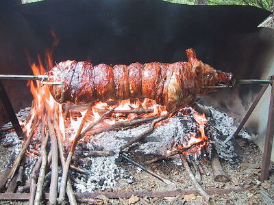 porchetta en el fuego