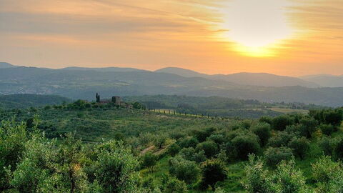 Vista del campo de Florencia