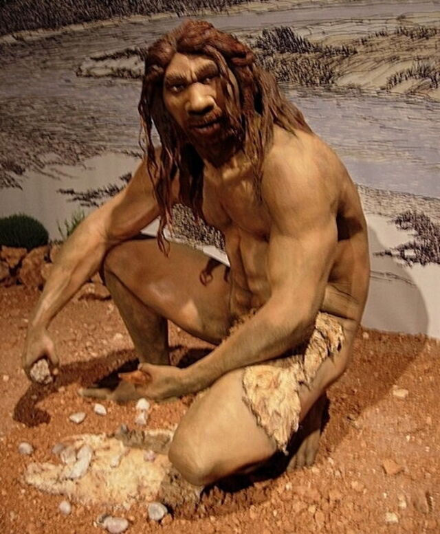 modelo de hombre Neanderthal