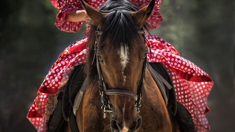 Caballo