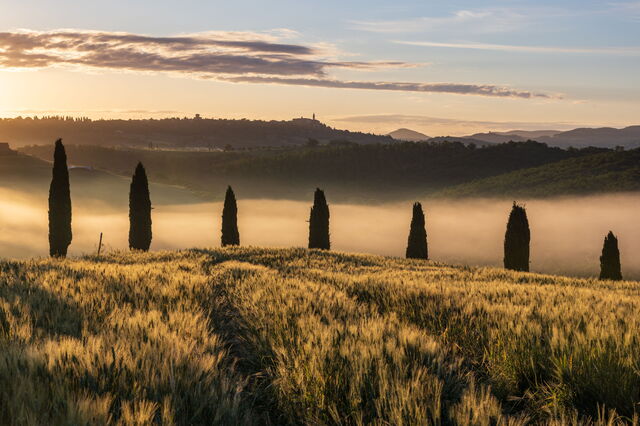 Un paisaje brumoso en la Toscana