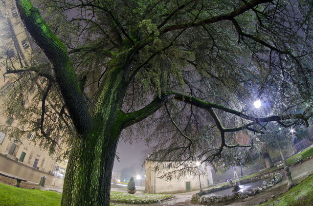 Lucca por la noche