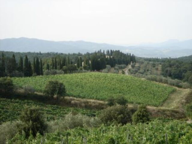 Vista del Valle de Chiana