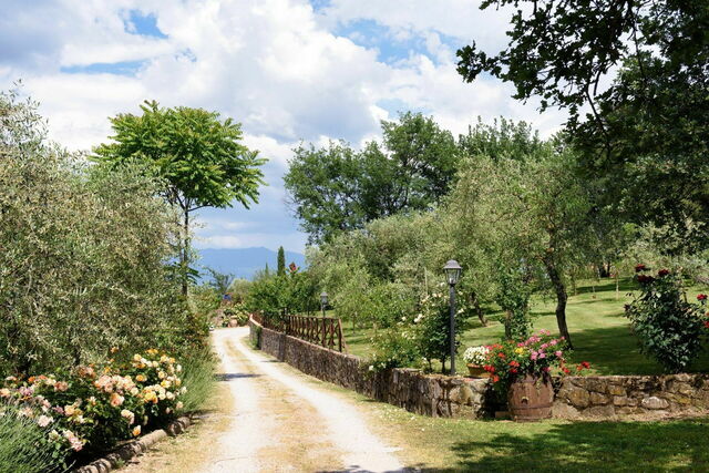 Alessandra Alla Poggetta, camino