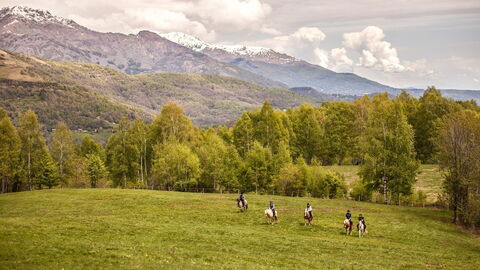 Caballos en Chianti