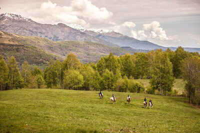 Caballos en Chianti