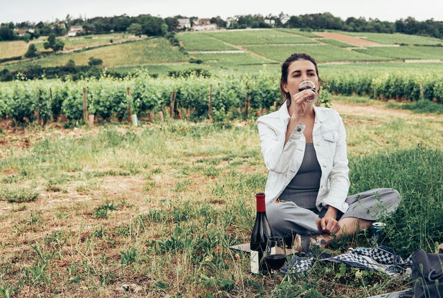Picnic en un viñedo