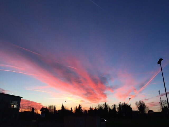 Puesta de sol sobre Pisa