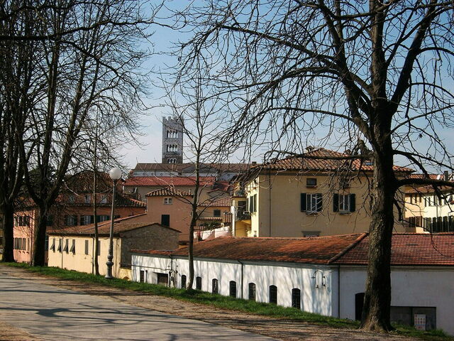 Murallas de Lucca, vistas