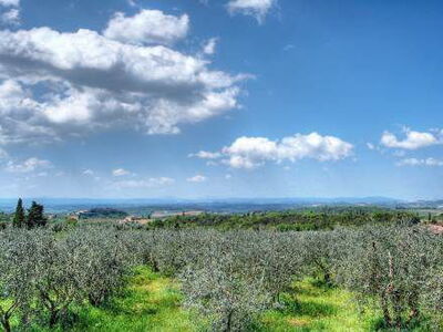 Vista del campo cerca de Castelnuovo Berardenga