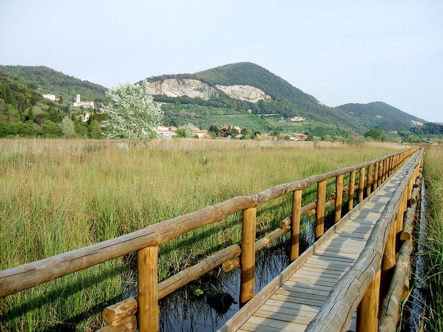 Lago Massaciuccoli