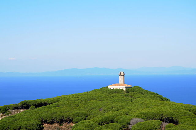 Amantes de los Faros, Giglio