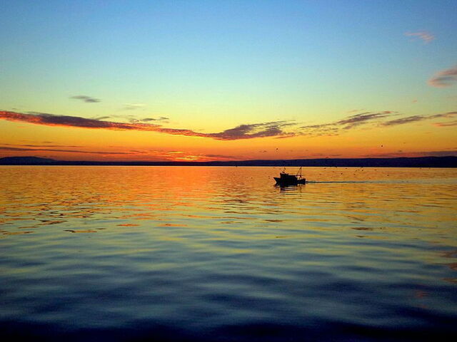 pesca al atardecer
