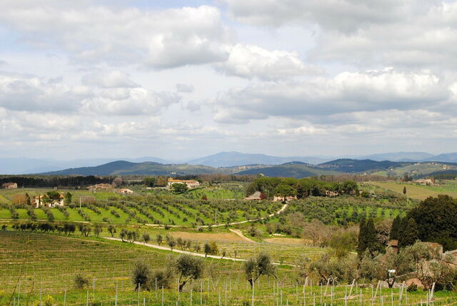 paisaje de la Toscana