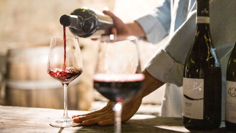 Servir vino