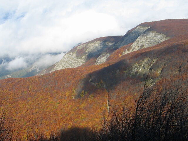 Montañas en el Parque Nacional Casentinesi