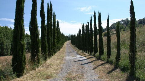 Carretera Nacional de La Toscana