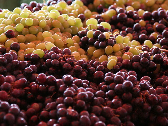 uvas moradas y verdes