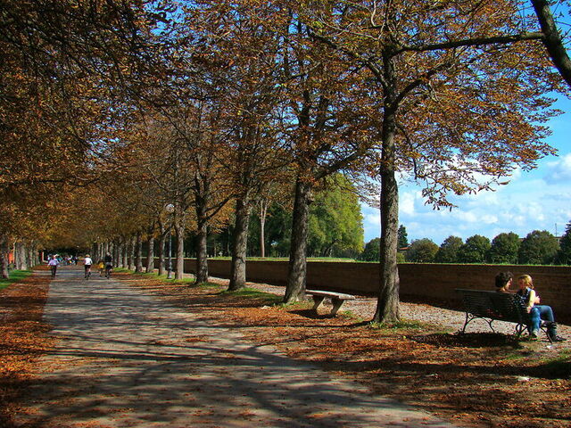 Murallas de la ciudad de Lucca