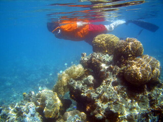 Ir de buceo en la Toscana