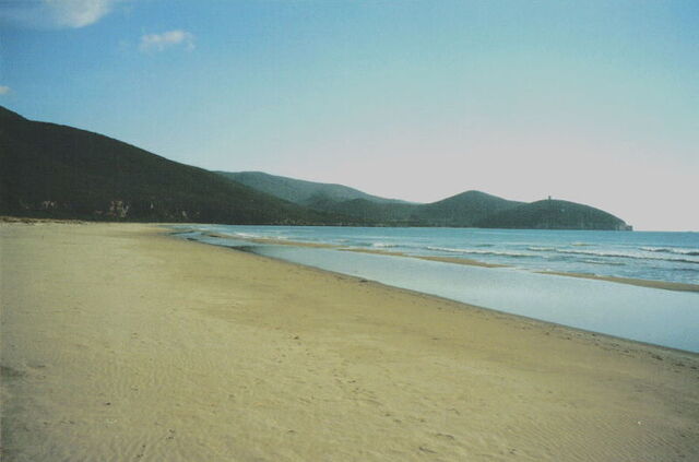 Playa nudista de Marina di Alberese