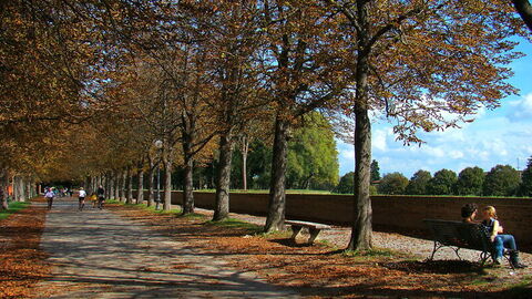 Paseo por las murallas de Lucca