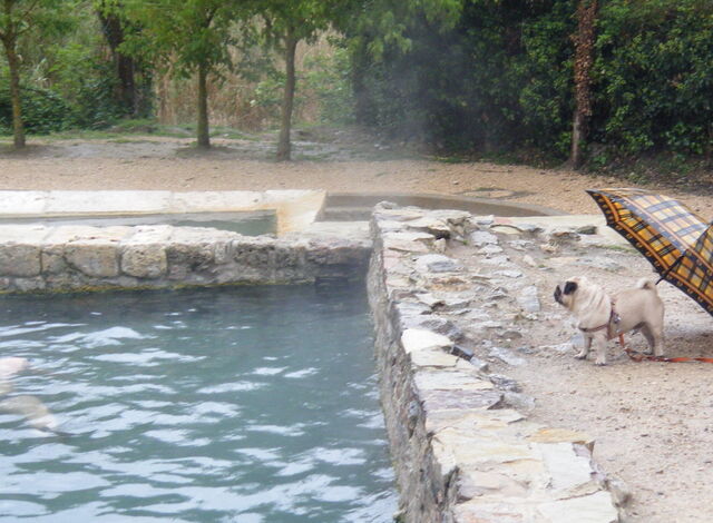 Antiguos Baños de San Casciano