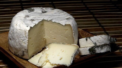 queso