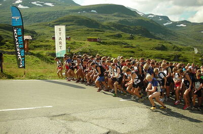 Carrera de skyrunning