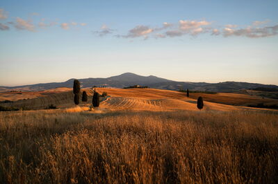 Paisaje en Montalcino